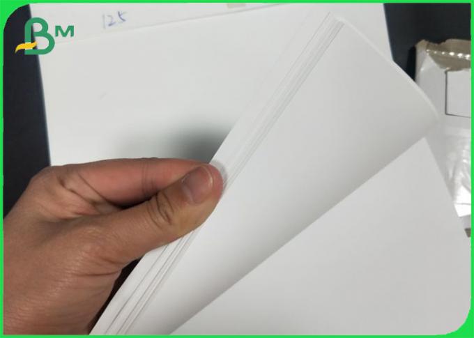 Matériel synthétique d'ANIMAL FAMILIER de papier d'emballage pour l'épaisseur adhésive 1000mm d'autocollant et d'étiquette 200UM