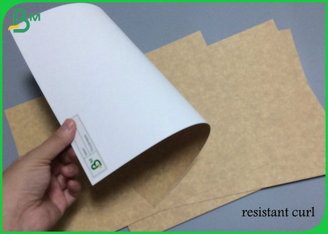 Papier d'emballage blanc de congélation de haute résistance de dos 325g 365g de 31inch 35inch