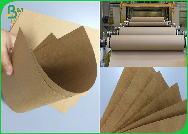 feuille de catégorie alimentaire de papier de revêtement de 300gsm 350gsm 400gsm Papier d'emballage avec la largeur de 790mm 1500mm