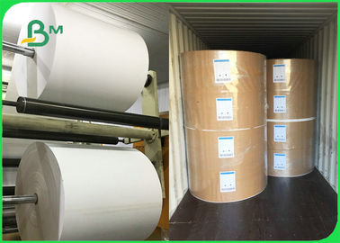 Jetable papier de gamelle du PE 300gsm + 10g pour l'emballage de nourriture 100% biodégradable