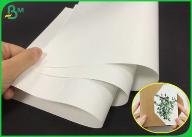 80g couleur blanche Matte Gloss Art Paper Roll pour faire la brochure de société
