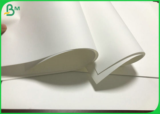 Le blanc a enduit les petits pains de papier synthétiques 80um non au papier épais de la larme 350um