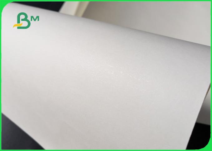Biodégradable le PE 160GSM + 10GSM a stratifié le papier pour la tasse de papier à mur unique