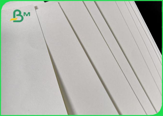 Biodégradable le PE 160GSM + 10GSM a stratifié le papier pour la tasse de papier à mur unique