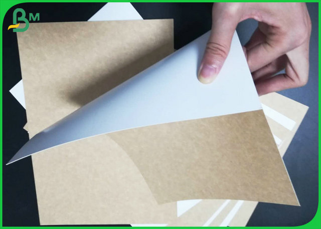 Papier de Front Side White Coated Brown emballage 250gsm adapté aux besoins du client pour la prise - plateau
