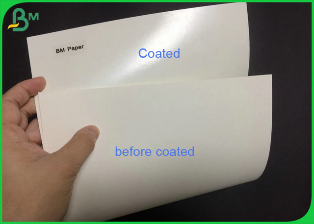  Le panneau de papier brut de tasse d'ECO 210 230 Grammages a enduit le polyéthylène pour la tasse de papier