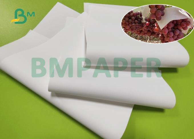 raisin 100mic blanc protéger le papier 30 x 30cm imperméables et larme résistante