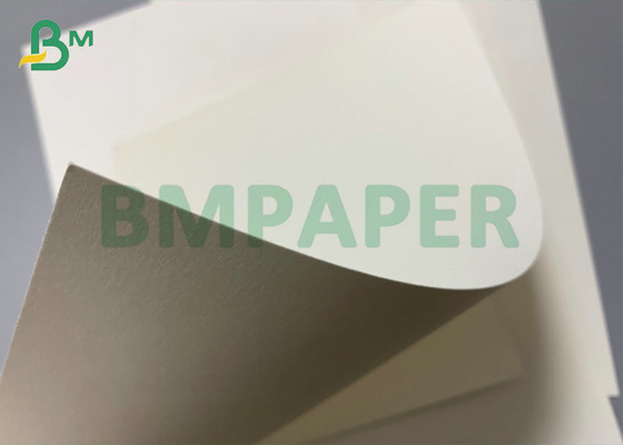 papier jetable de gamelle d'impression offset de 250g 300g pour la plaque à papier