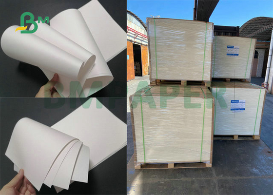 24 x 35 pouces ont réutilisé le petit pain blanc de papier d'emballage de catégorie comestible pour la tasse de papier d'air 120gsm 140gsm