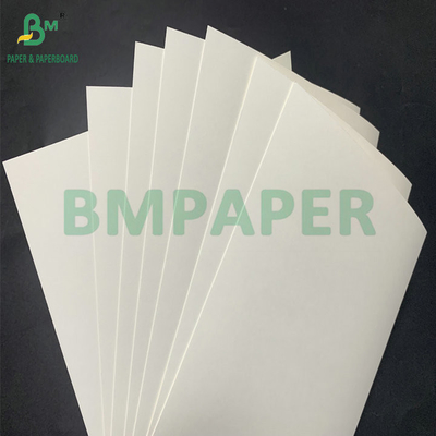 15g PE revêtu imperméable à l'eau 210gm 230gm tasse papier en vrac haut pliant