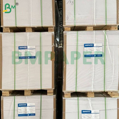 200 gm + 10 gm Feuille de papier en PE revêtu de tasse résistant à la chaleur