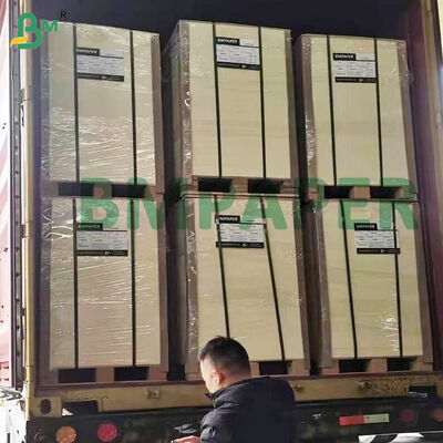 Plaque de pâte à pâte très absorbante 0,4-2,0 mm Pour le tapis de bière Plaque blanche naturelle