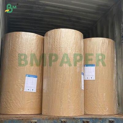 Kit 3 Kit 5 Kit 7 Rouleaux de papier résistant à l'huile et dégradable pour blanchiment