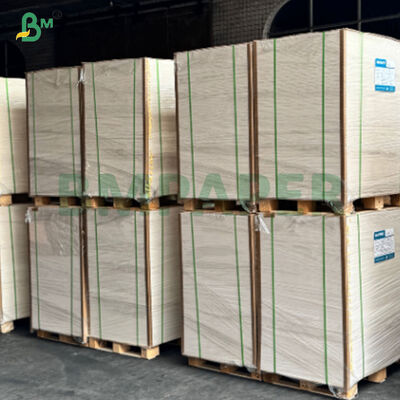 Sécurité alimentaire Papier de tasse revêtu en PE d'une seule face à haute extensibilité