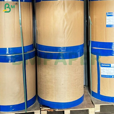 350 gm+10 gm en PE enduit en kraft bowl/en rouleaux de papier plat de qualité alimentaire