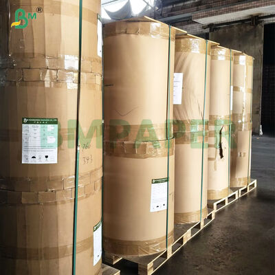 35G-60g Non Stick Foodgrade Cupcake Paper For Baking  Food Safety