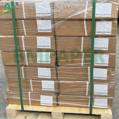 A0 Grand format CAD Plotter Rouleaux de papier 80gm 914mm × 50m, 5 rouleaux par carton