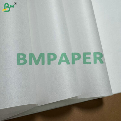 Lightweight Greaseproof 60gsm Baking Cup Base Paper Heatproof to 220°C for Cupcake/Muffin Liner Production