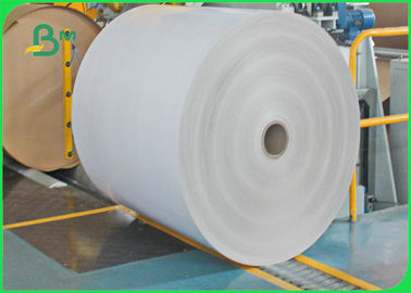poly carton blanc de papier enduit de l'éthylène 300gsm + 12g en feuille 61 * 86cm FDA