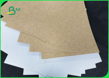 L'argile du PE 1/S de la catégorie comestible 270gsm a enduit le panneau de Papier d'emballage pour les produits congelés