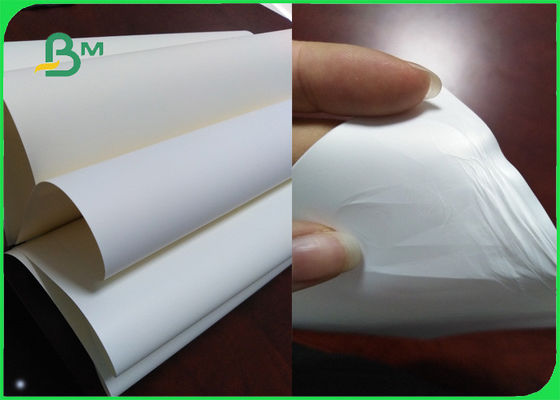 Imprimabilité 150um de papier de synthétique de film basée par polypropylène excellente