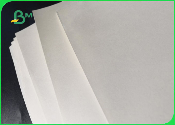 Le PE biodégradable a stratifié le papier de papier et enduit de polyéthylène 160GSM 10GSM
