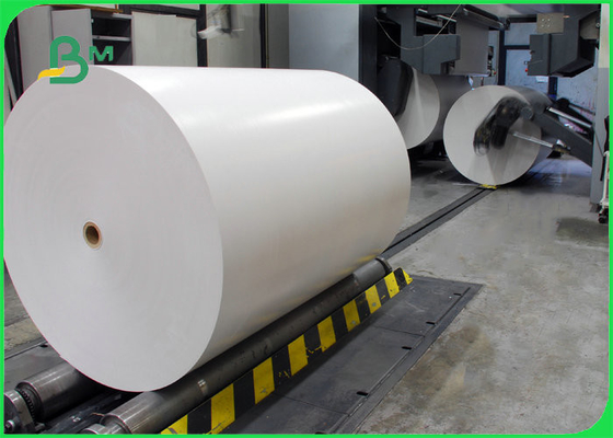 160 le PE de 180GSM +15g a enduit Rolls enorme de papier pour la tasse de papier largeur de 850 - 900 millimètres