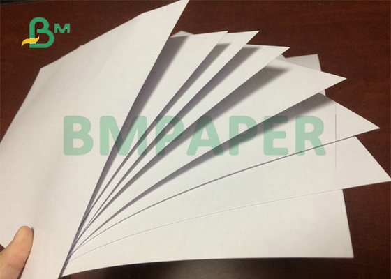 Haut papier de la bobine 280gsm 300gsm Bluecore C2S de largeur de la blancheur 71cm 72cm pour des cartes de jeu