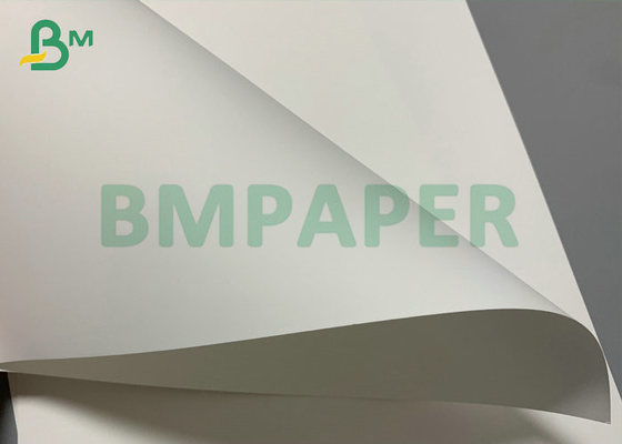 Costume synthétique de papier d'ANIMAL FAMILIER résistant à la chaleur pour l'impression laser 200um 300um