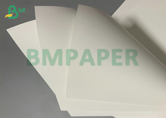 Costume synthétique de papier d'ANIMAL FAMILIER résistant à la chaleur pour l'impression laser 200um 300um