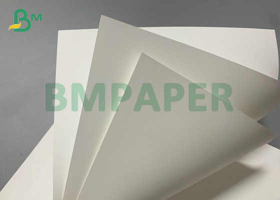 Costume synthétique de papier d'ANIMAL FAMILIER résistant à la chaleur pour l'impression laser 200um 300um