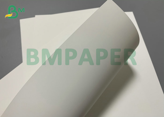 Costume synthétique de papier d'ANIMAL FAMILIER résistant à la chaleur pour l'impression laser 200um 300um