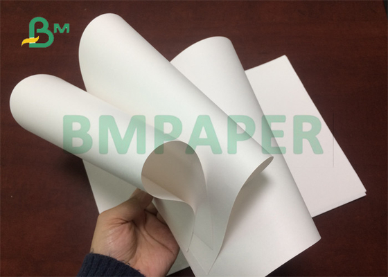 3" papier blanc de catégorie comestible du noyau 100gsm 120gsm pour produire la largeur conique 20,5" de tasses de l'eau