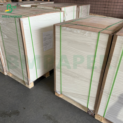Tableau de cuisson à haute absorbance blanc en vrac 600um 330gsm