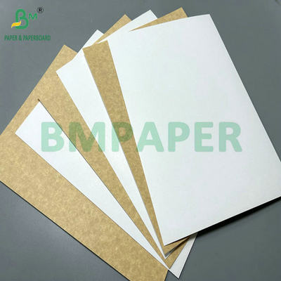 Bonne résistance de 150 grammes à 400 grammes en rouleau ou en feuille de papier kraft brun naturel pour tasse alimentaire