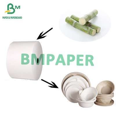 Papier de canne à sucre biodégradable de qualité alimentaire pour plaques jetables 70 gm à 400 gm