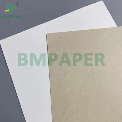 Papier de canne à sucre biodégradable de qualité alimentaire pour plaques jetables 70 gm à 400 gm