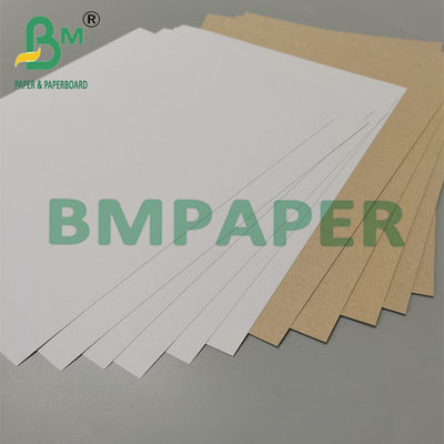 350 g 79 x 109 cm Carton duplex revêtu avec dos gris pour emballage pharmaceutique