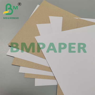 350 g 79 x 109 cm Carton duplex revêtu avec dos gris pour emballage pharmaceutique