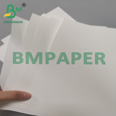 Papier de brochure synthétique résistant à la chaleur de 250 mm à 260 mm