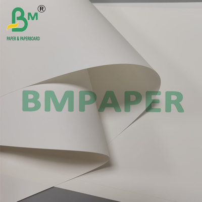 Papier de brochure synthétique résistant à la chaleur de 250 mm à 260 mm