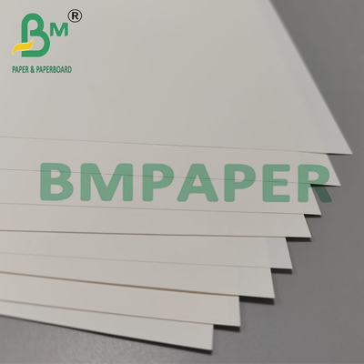 Papier de brochure synthétique résistant à la chaleur de 250 mm à 260 mm