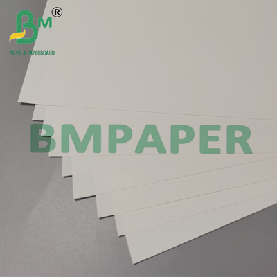 Papier de brochure synthétique résistant à la chaleur de 250 mm à 260 mm