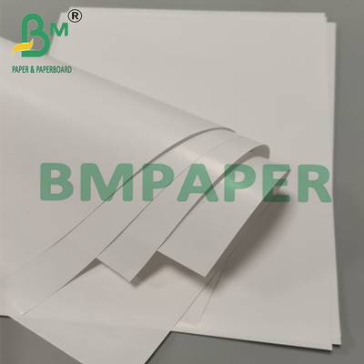 80 g de papier d'emballage pour tasse à cône biodégradable à l'épreuve des fuites