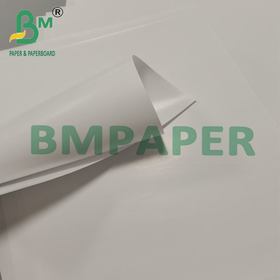 80 g de papier d'emballage pour tasse à cône biodégradable à l'épreuve des fuites