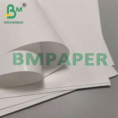 80 g de papier d'emballage pour tasse à cône biodégradable à l'épreuve des fuites