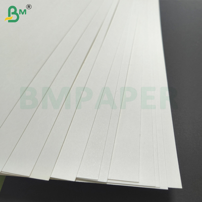 Papier pour tasses en PE 1 PE 2 PE Papier pour tasses en PE