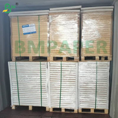 Papier pour tasses en PE 1 PE 2 PE Papier pour tasses en PE