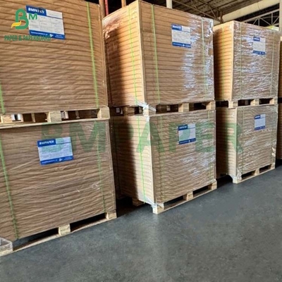 Papier de filtre à café brun naturel non blanchi biodégradable à haute température