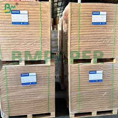 50 rouleaux de papier filtre à café sans odeur et à haute efficacité de filtration